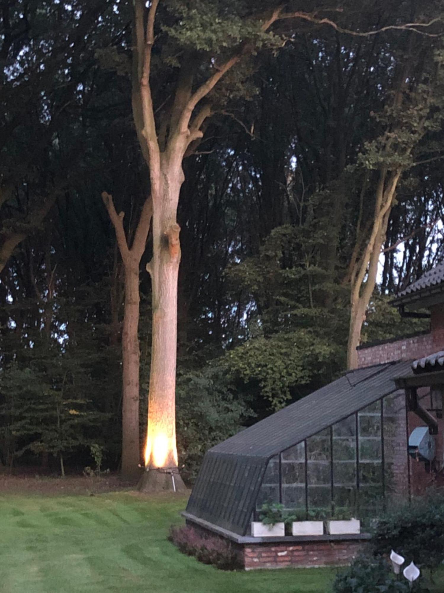 Vakantiewoningeikenhof ロンデルゼール エクステリア 写真